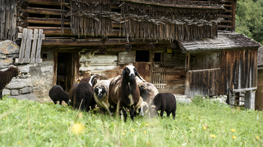 © Patrick Säly / Montafon