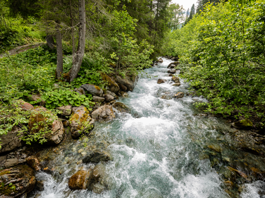 © Stefan Kothner / Montafon