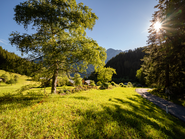 © Stefan Kothner / Montafon