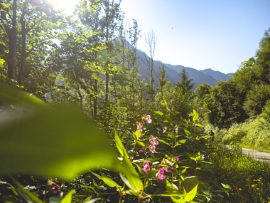 © Stefan Kothner / Montafon