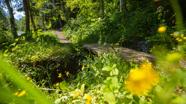 © Stefan Kothner / Montafon
