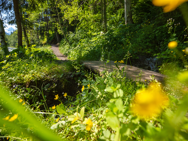 © Stefan Kothner / Montafon