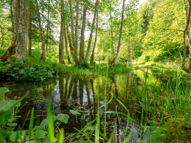 © Stefan Kothner / Montafon