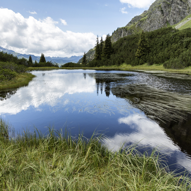 © Elisa Schöllhorn