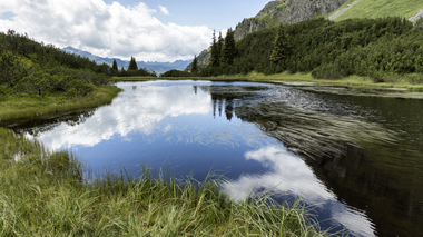 © Elisa Schöllhorn