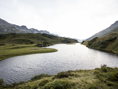 © Elisa Schöllhorn