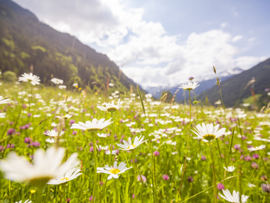 © Stefan Kothner / Montafon
