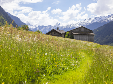 © Stefan Kothner / Montafon