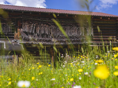 © Stefan Kothner / Montafon