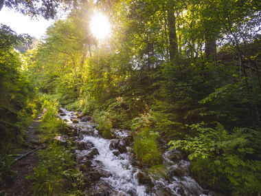 © Stefan Kothner / Montafon