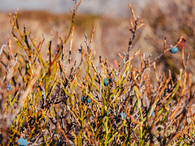 © Packyourthingsandtravel / Montafon