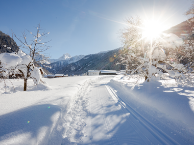 © Stefan Kothner / Montafon