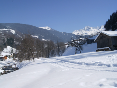© Roland Fritsch / Montafon
