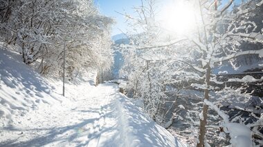© Andreas Haller / Montafon