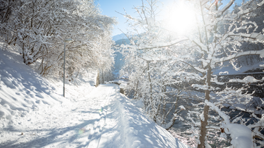 © Andreas Haller / Montafon