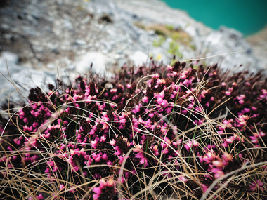 © (c) Andreas Haller / Montafon