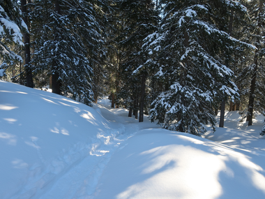 © Christoph Wald / Montafon