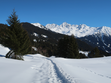© Christoph Wald / Montafon