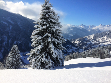 © Christina Wachter / Montafon