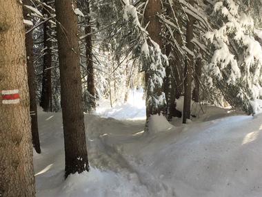 © Christina Wachter / Montafon