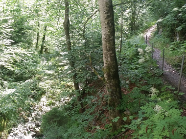 © Montafon Tourismus_(c)_Roland Fritsch