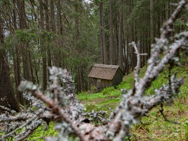 © PATRICK SAELY PHOTOGRAPHY