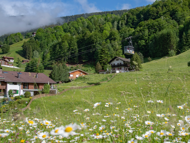 © PATRICK SAELY PHOTOGRAPHY