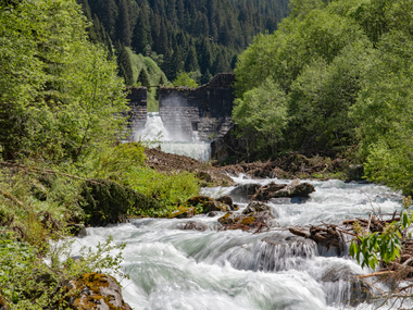 © PATRICK SAELY PHOTOGRAPHY