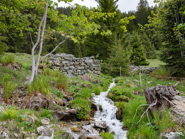 © PATRICK SAELY PHOTOGRAPHY