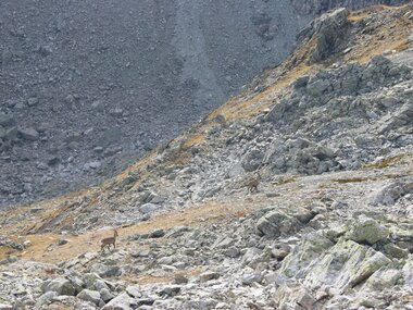 © Montafon