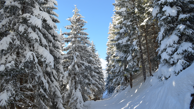 © Christina Wachter / Montafon