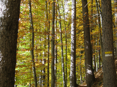 © Christina Wachter