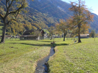 © Christina Wachter