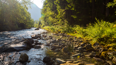 © Stefan Kothner / Montafon