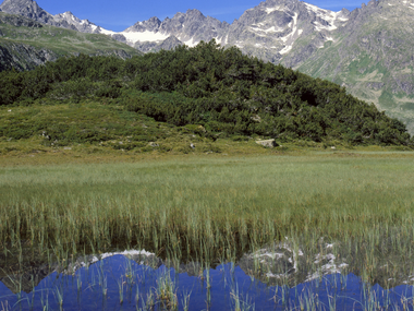 © Markus Fessler-Jenny / Illwerke Tourismus