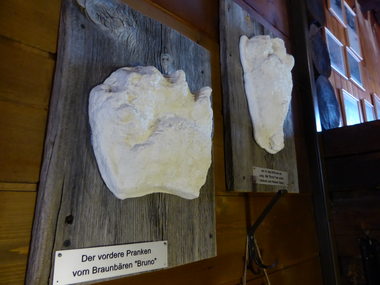 © Christina Wachter