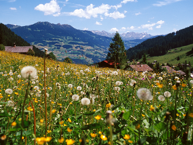 © Markus Fessler-Jenny / Illwerke Tourismus