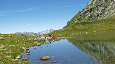 © Friedrich Böhringer