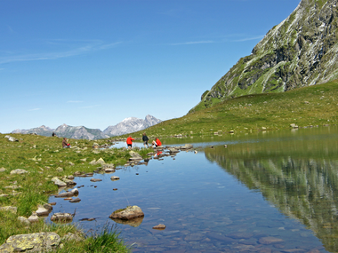 © Friedrich Böhringer