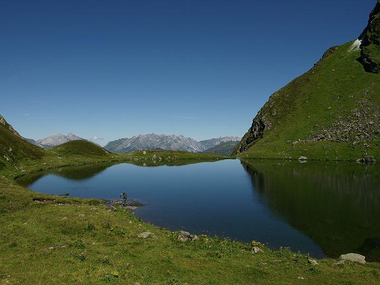 © Friedrich Böhringer