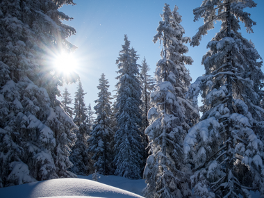 © Andreas Haller / Montafon