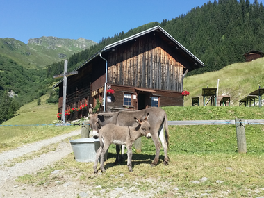 © Montafon Tourismus_(c)_Roland Fritsch