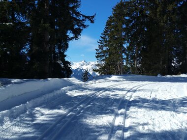 © Roland Fritsch / Montafon