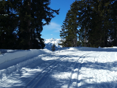 © Roland Fritsch / Montafon