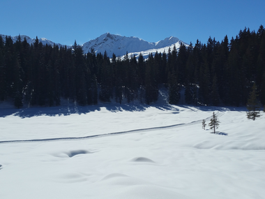 © Roland Fritsch / Montafon