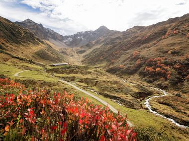 © Andreas Haller / Montafon