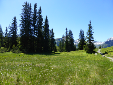 © Christina Wachter