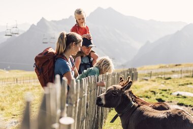 Eine Familie mit zwei Kindern füttert zwei Esel über einen Holzzaun auf einer Wiese in Gargellen. Im Hintergrund sind Berge und ein Sessellift zu sehen. | © Gargellner Bergbahnen GmbH & Co KG, Daniel Zangerl