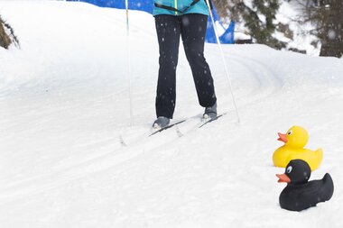 © Dietmar Mathis/Fotografenmeister