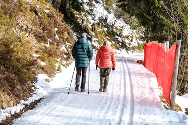 © Copr.Udo Mittelberger